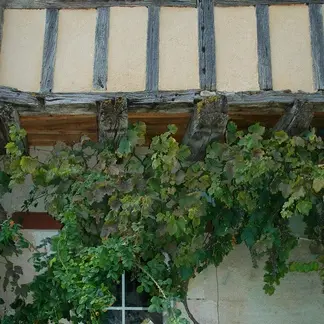 Colombages Bourg Boisse 07-10 02