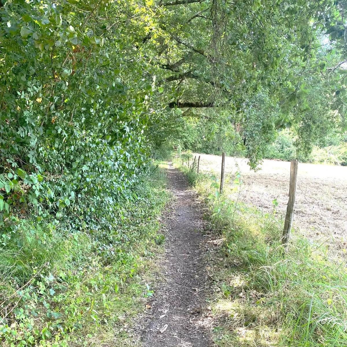 Coulounieix-Chamiers-visuel chemin