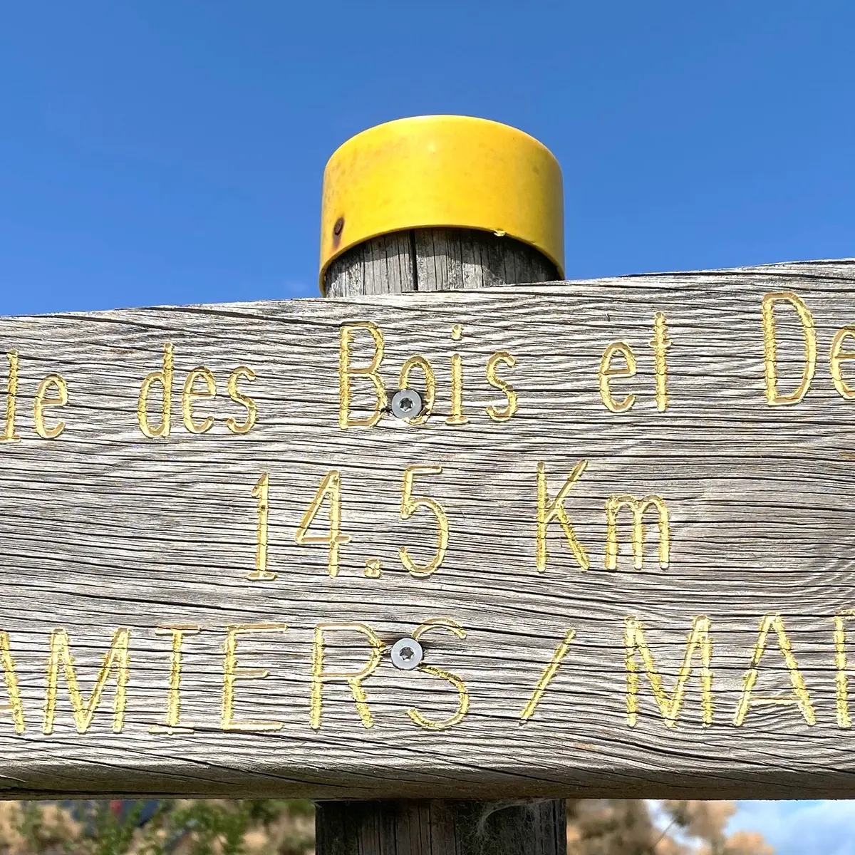 Coulounieix-Chamiers-Flêche