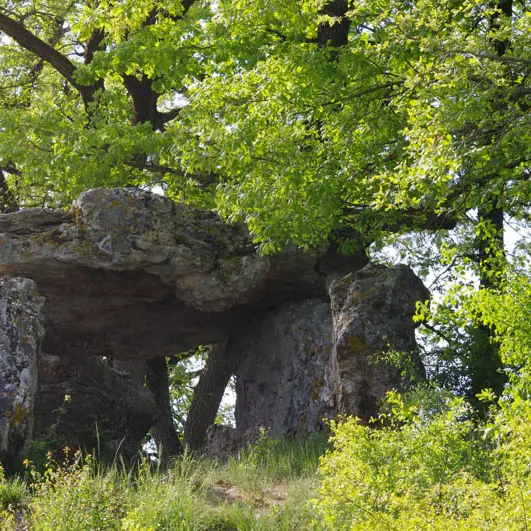 Dolmen_Nojals