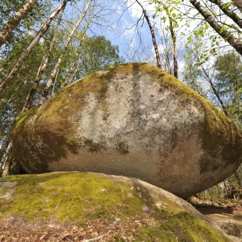Etangs des Merles Rochers