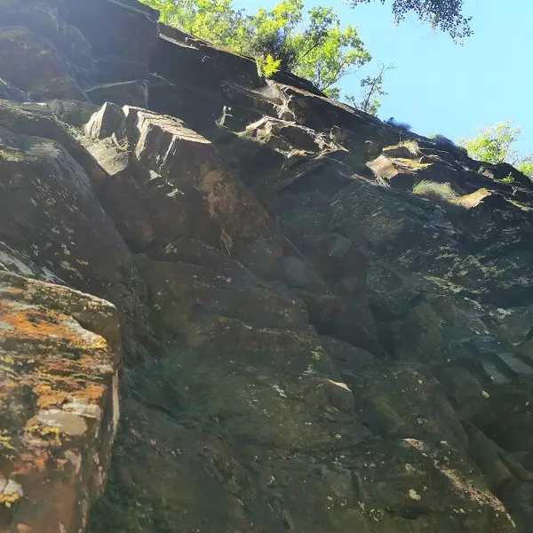 Falaise Bord de l'Isle Jumilhac Juillet (16)