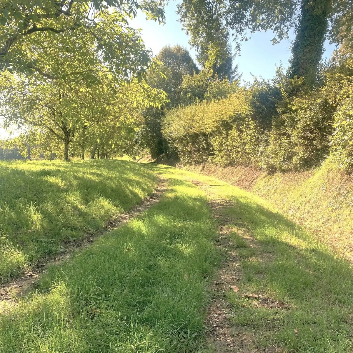 GRIVES-Boucle de Grives-Chemin