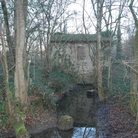 Hiver Moulin de La Rode 10-12 03