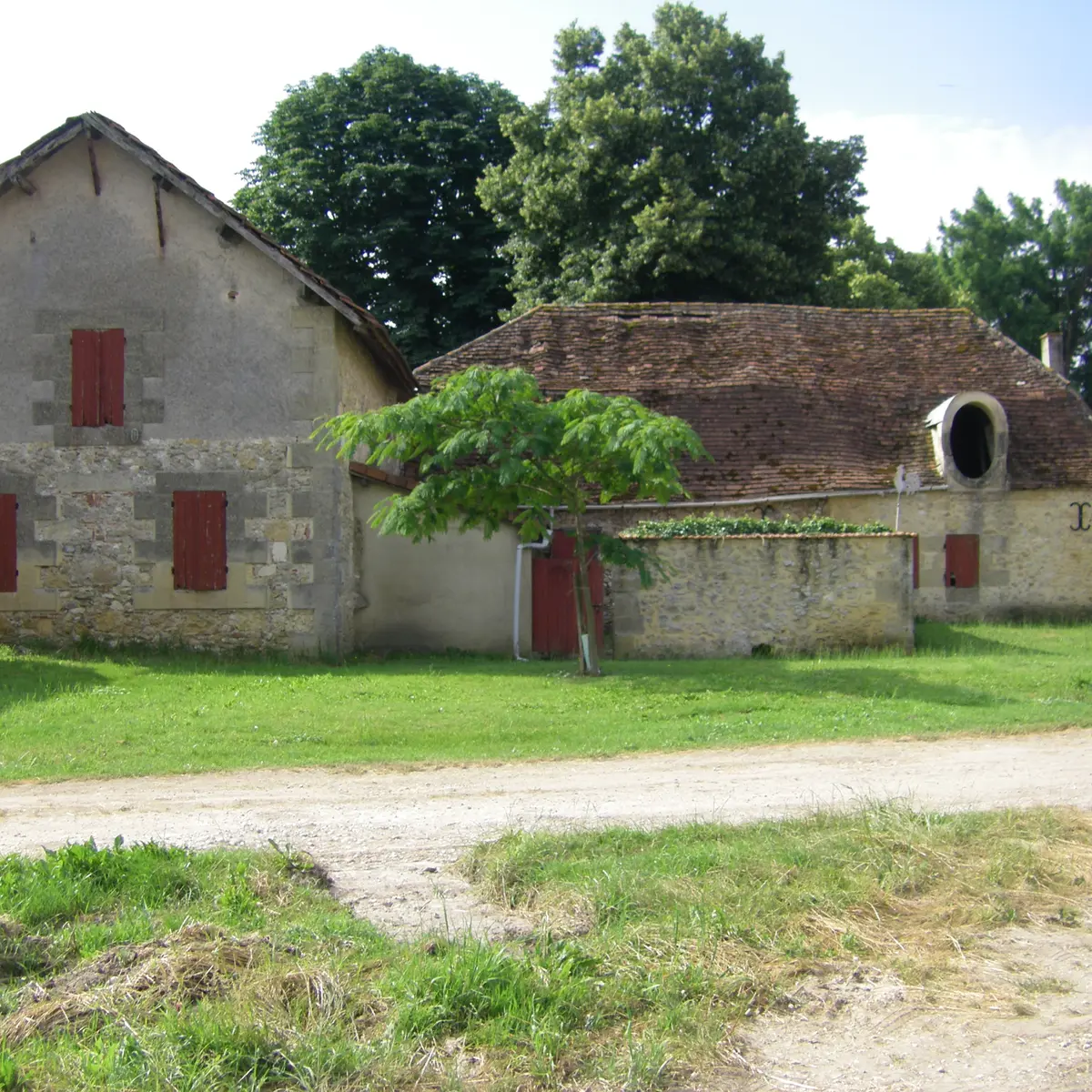 IMGP0128