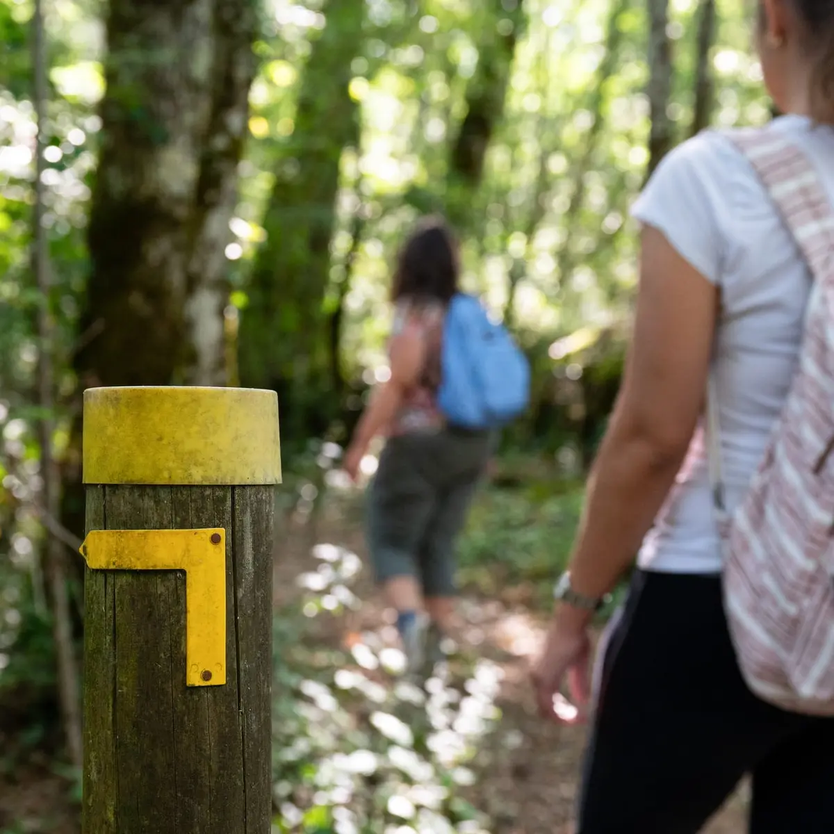 ITI_Boucle de Miremont_Mauzens-et-Miremont (10)