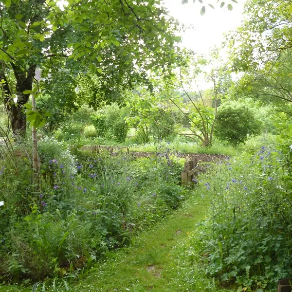 Jardin botanique d'ALAIJE