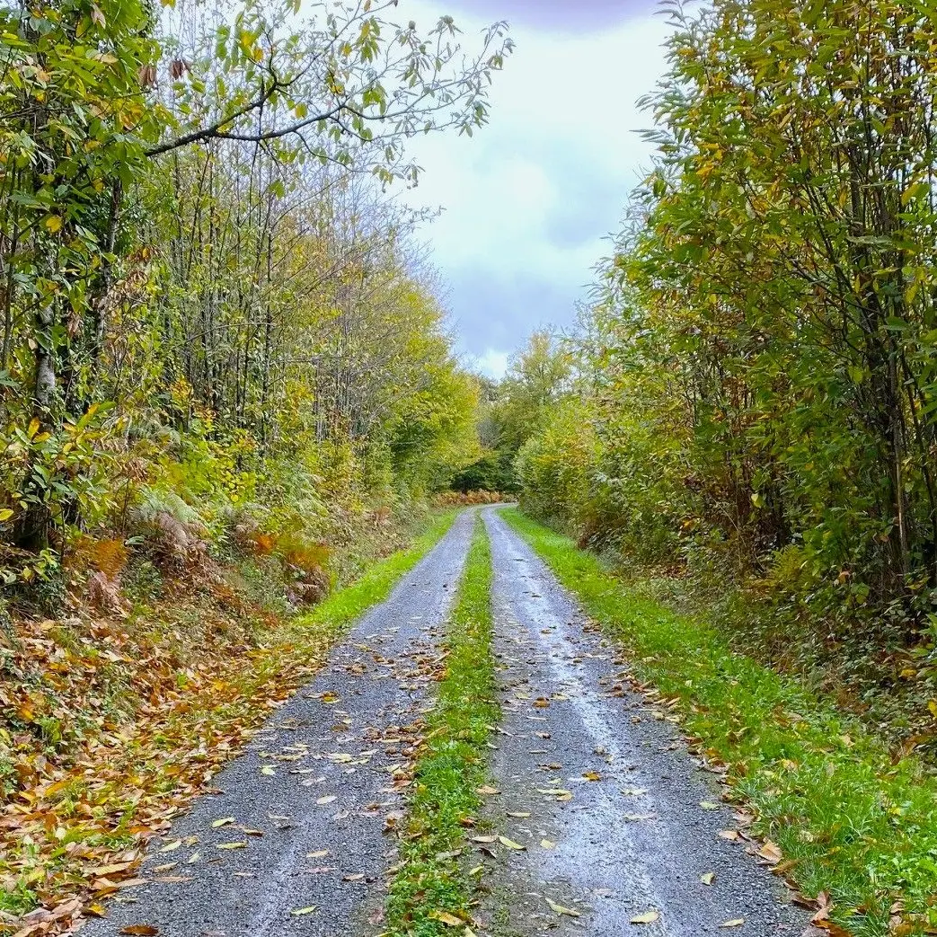 LANOUAILLE-Boucle du Puy-Chemin