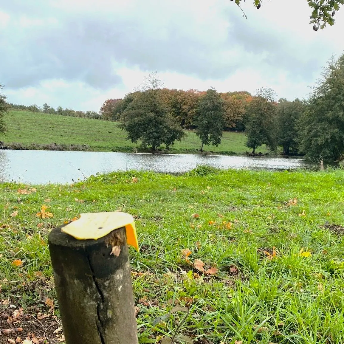 LANOUAILLE-Boucle du Puy-Paysage