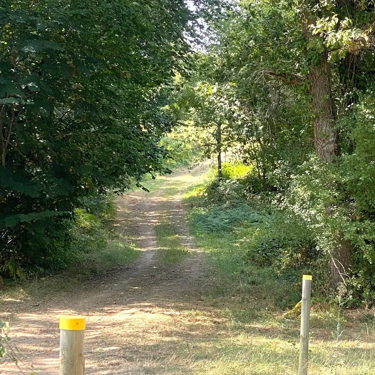 LACROPTE-Boucle du Rontlet-chemin