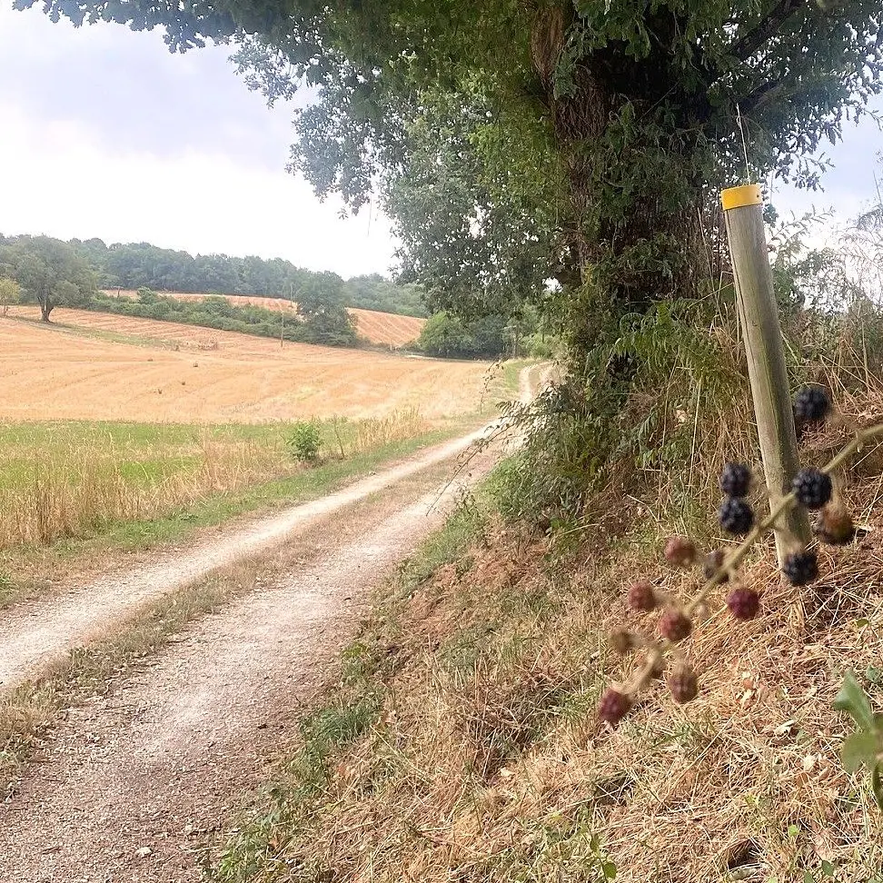 LIGUEUX-Boucle des Brames-Poteau-Chemin