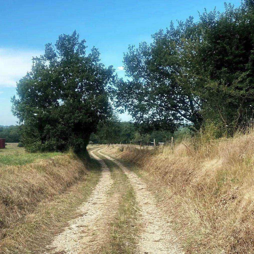 LUSSAS-ET-NONTRONNEAU-Boucle des Beusses-Chemin