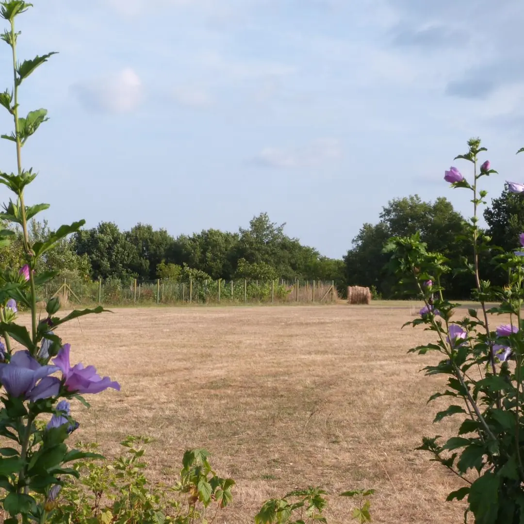 Les Farges_DSC0117 (5)