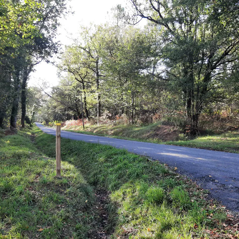 Lieu Dit Peypensou (1)