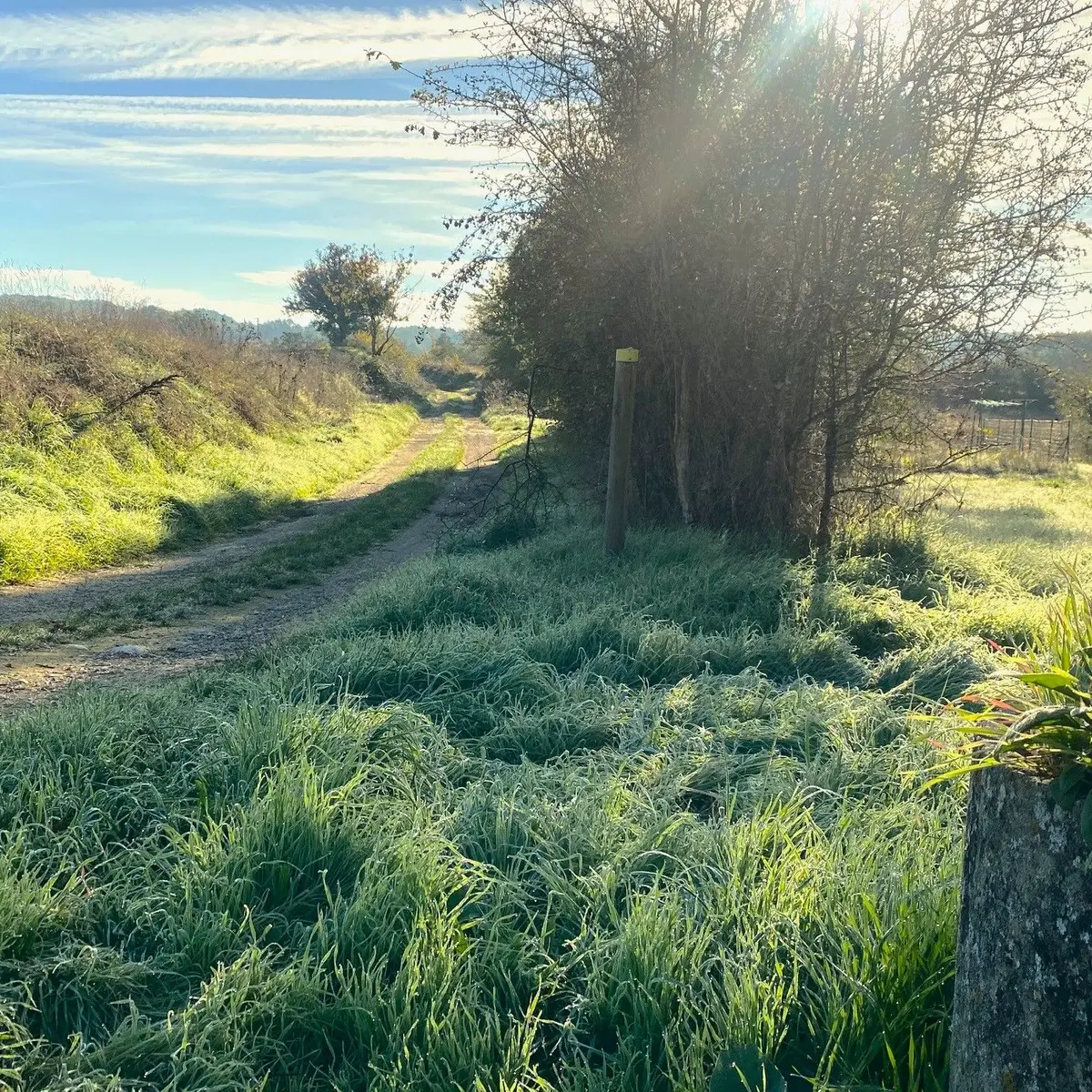 MAREUIL-Boucle de Vieux-Mareuil-Chemin-Poteau