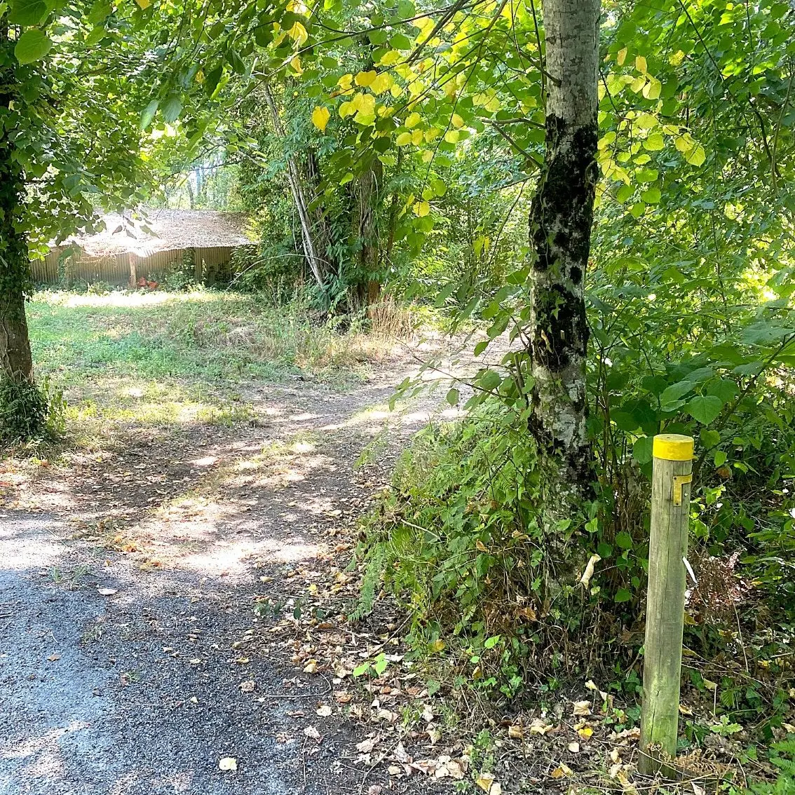 MARSANEIX-Boucle de Marsaneix-Chemin-Poteau