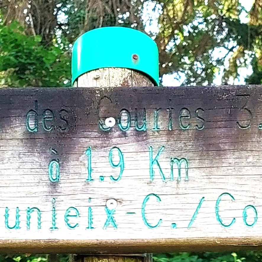 Marsac-Boucle des courtes -Fleche