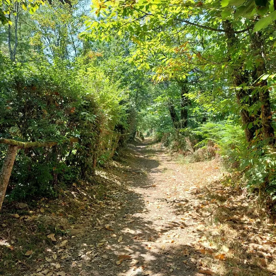 Montrem-5 étangs-visuel chemin 1