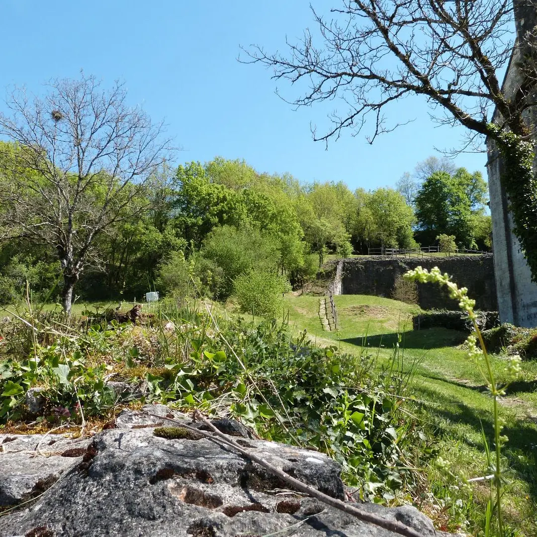 PCU_Saint Amand de Coly (117)