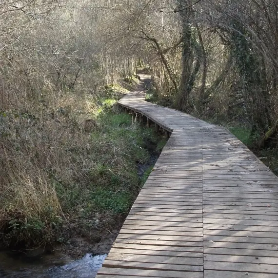 Passerelle Boucle des Etangs