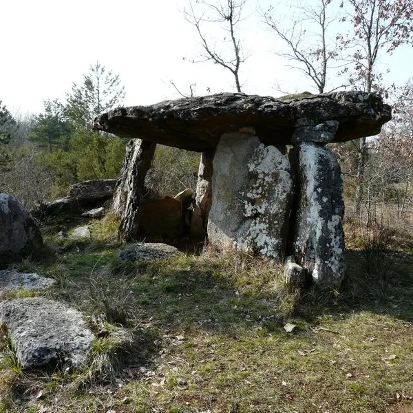 Paussac_dolmen_Peyrelevade_(4)