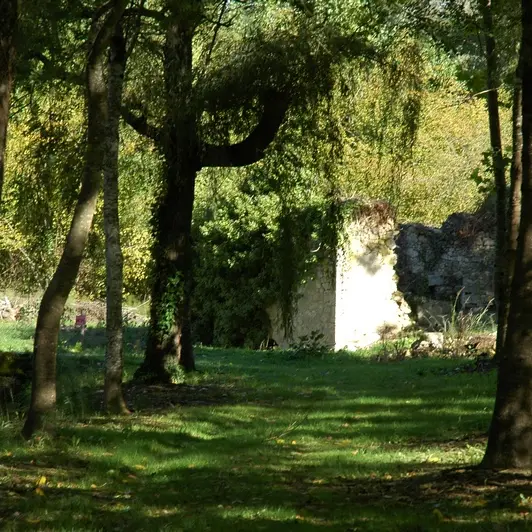 Paysages Moulin étang 06-10 - 09