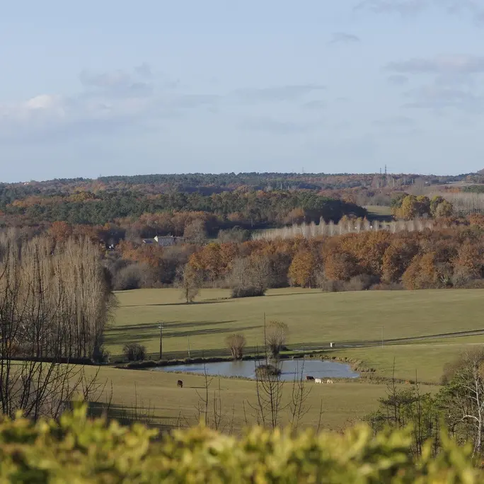 Paysages campagne Montpeyroux © MC Grasseau - OT Bergerac (2)