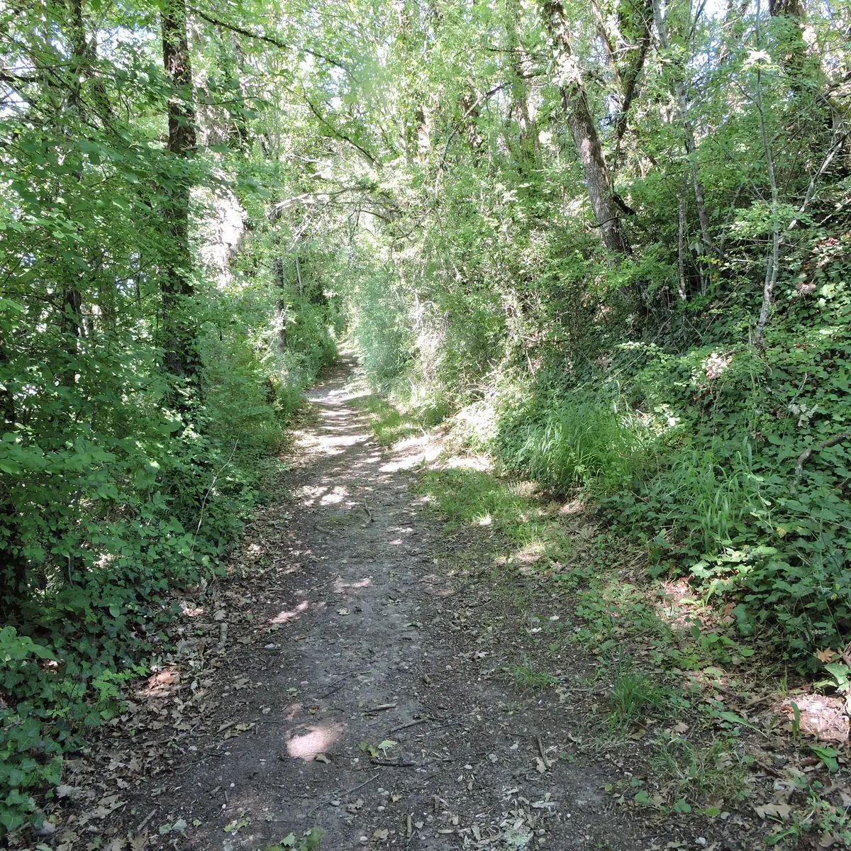 Promenades gourmandes à Celles