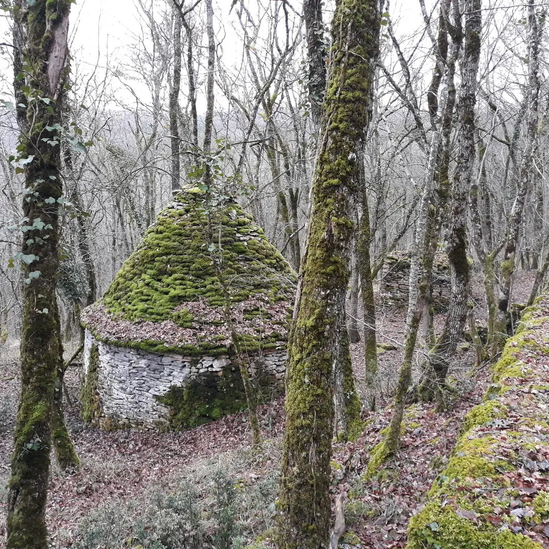 Randonnée-Sergeac-Saint-Léon (12)