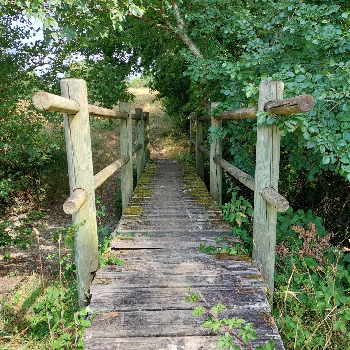 Razac-Visuel chemin passerelle