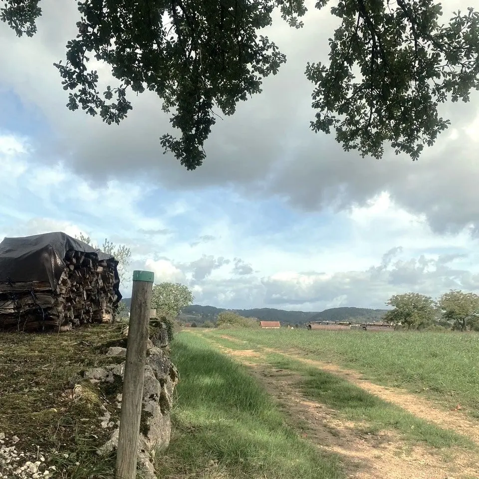 SAINT-CYPRIEN-Boucle du Garrit-Chemin-Poteau 2