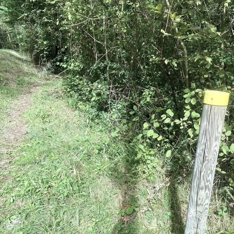 SAINT-CYPRIEN-Boucle du Garrit-Chemin-Poteau