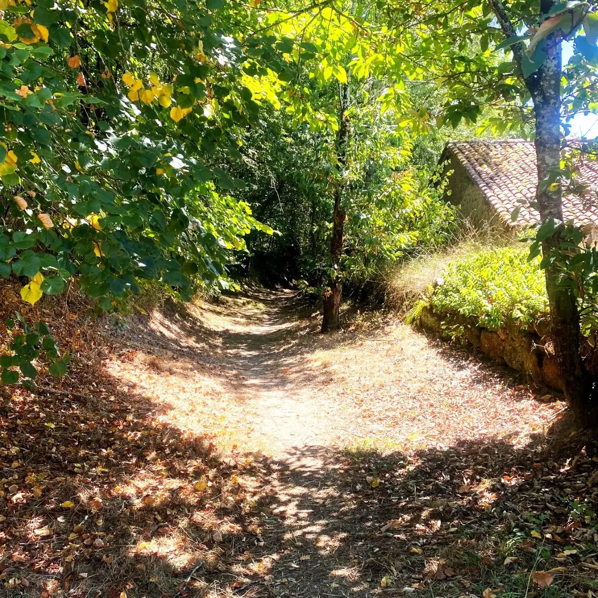 SAINT ESTEPHE-Boucle de Ligneras-Chemin