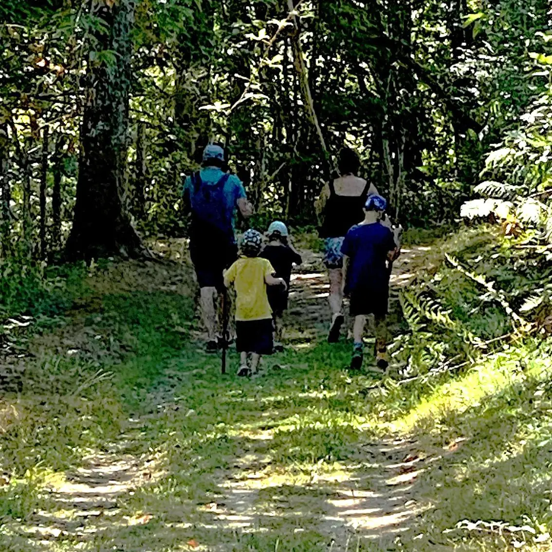 SAINT ESTEPHE-Boucle des Malibas-Chemin