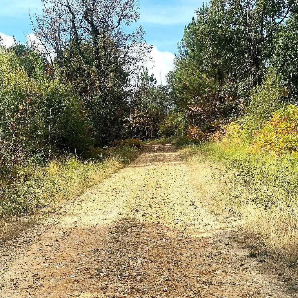 SAINT-MARTIN DE GURSON-Boucle de Plagnac-Chemin