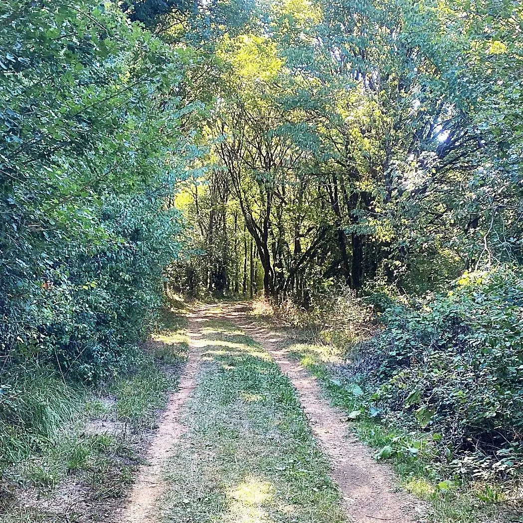 SAINT MARTIAL DE VALETTE-Boucle de Chabans-Chemin