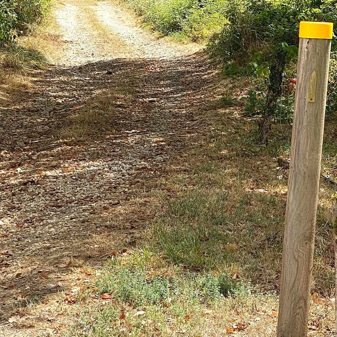 SAINT MICHEL DE VILLADEIX-Boucle des Vallons-chemin-Poteau