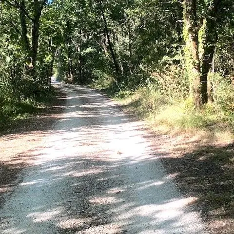 SAINT PIERRE DE CHIGNAC-Boucle de La Chapelle-Chemin