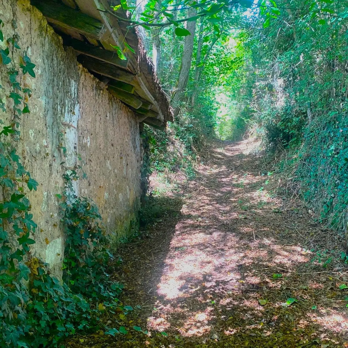 SAINT VINCENT DE CONNEZAC-Boucle de Pradelou-Chemin