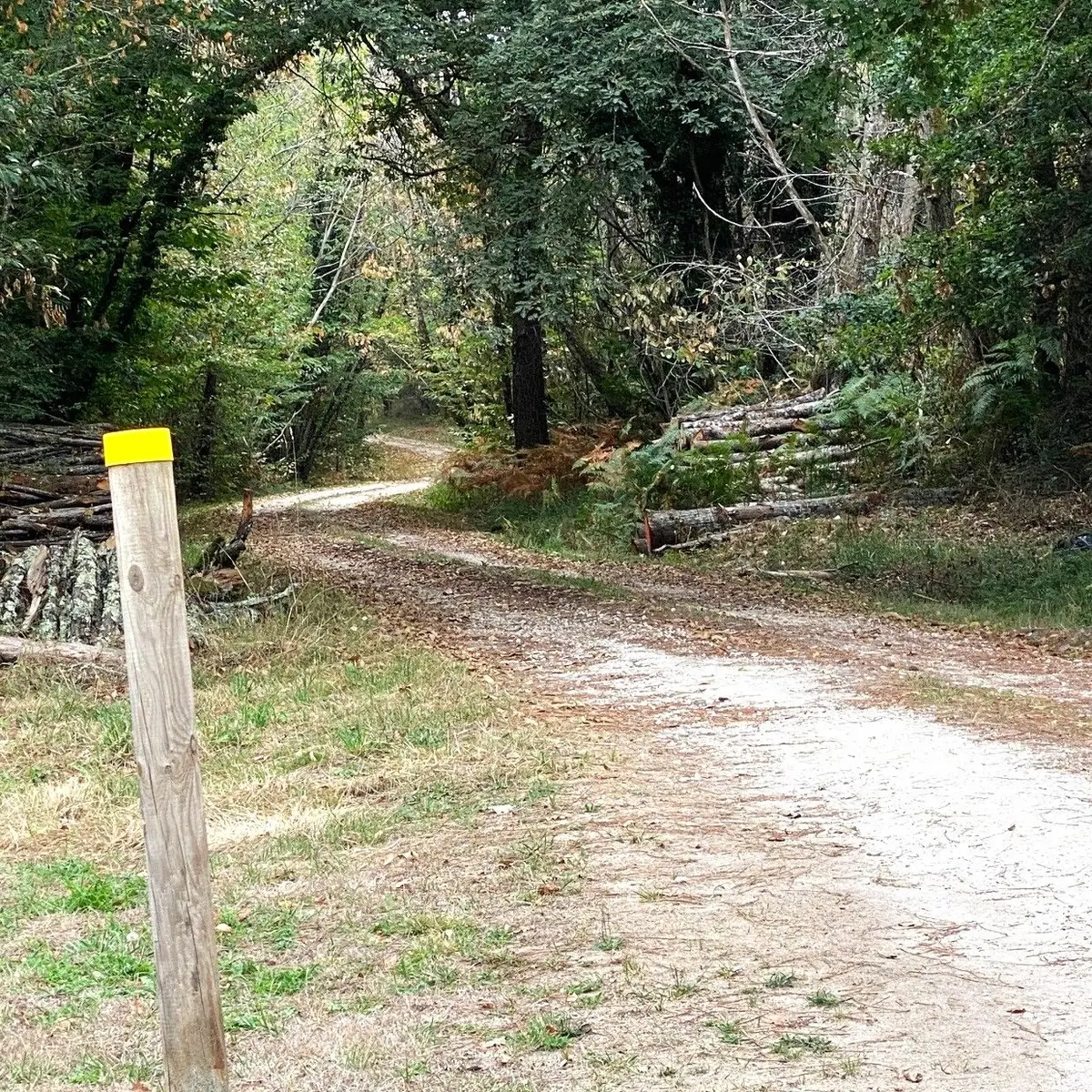 SAINT VINCENT DE CONNEZAC-Boucle du Grand Claud-Chemin-Poteau
