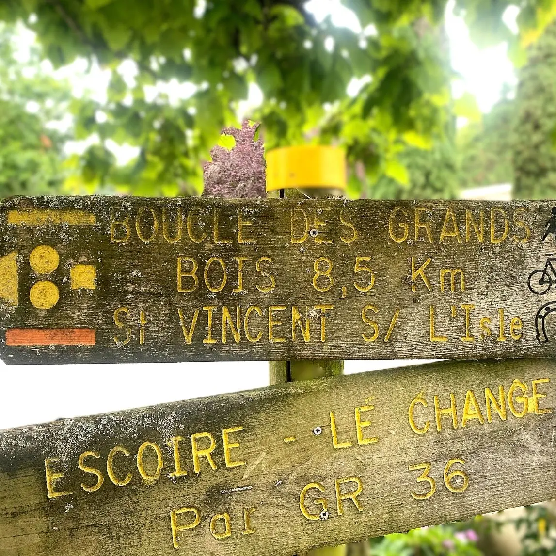 SARLIAC-Boucle des grands bois-Signalétique