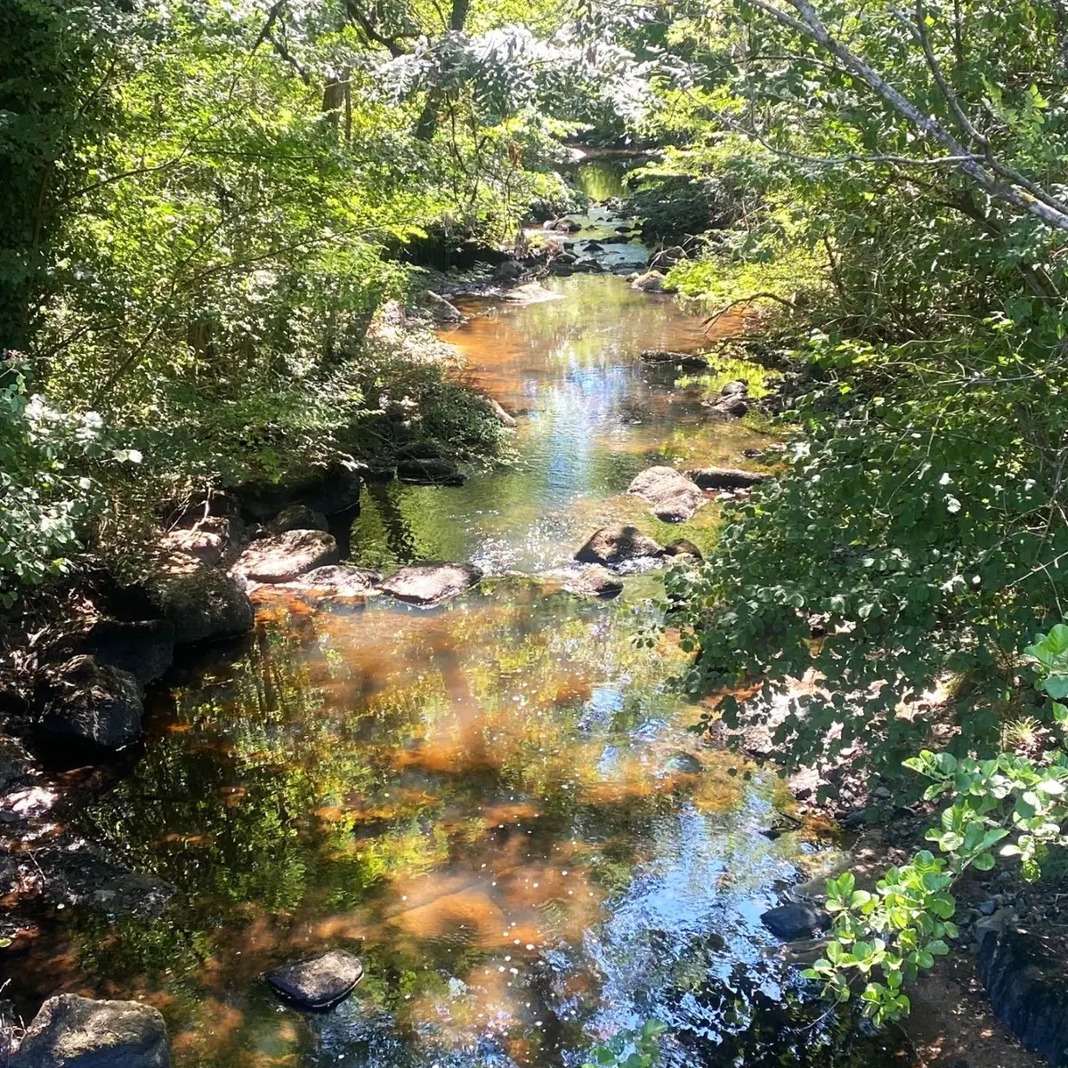 SAVIGNAC DE NONTRON-Boucle du Bandiat-Rivière