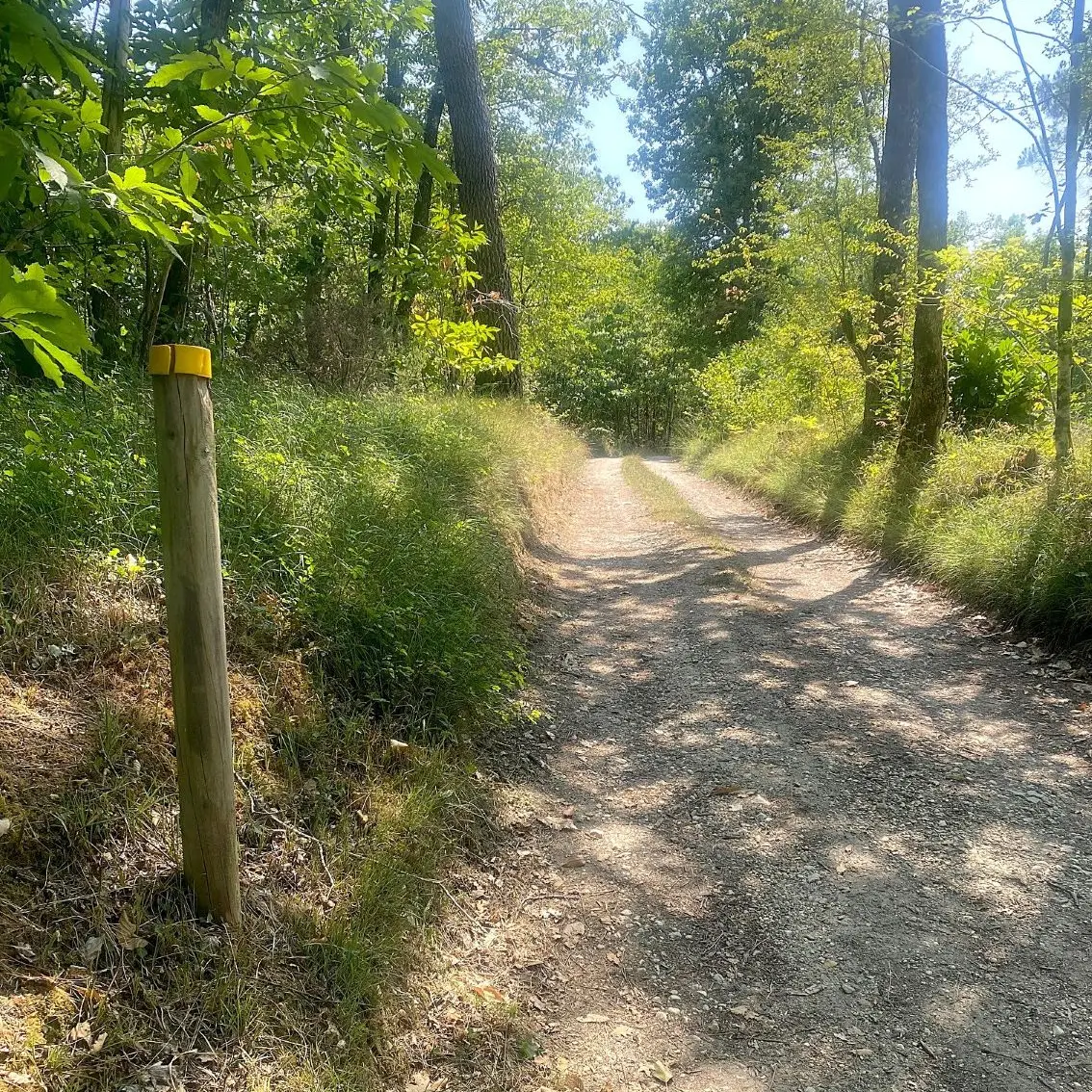 SAVIGNAC LES EGLISES-Boucle des Anciens villages-Chemin