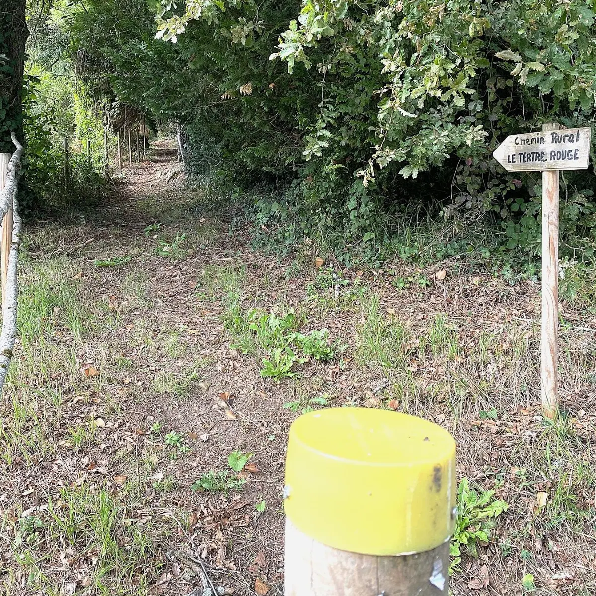 SIORAC-EN-PERIGORD-Boucle de la Dordogne-Chemin-Poteau