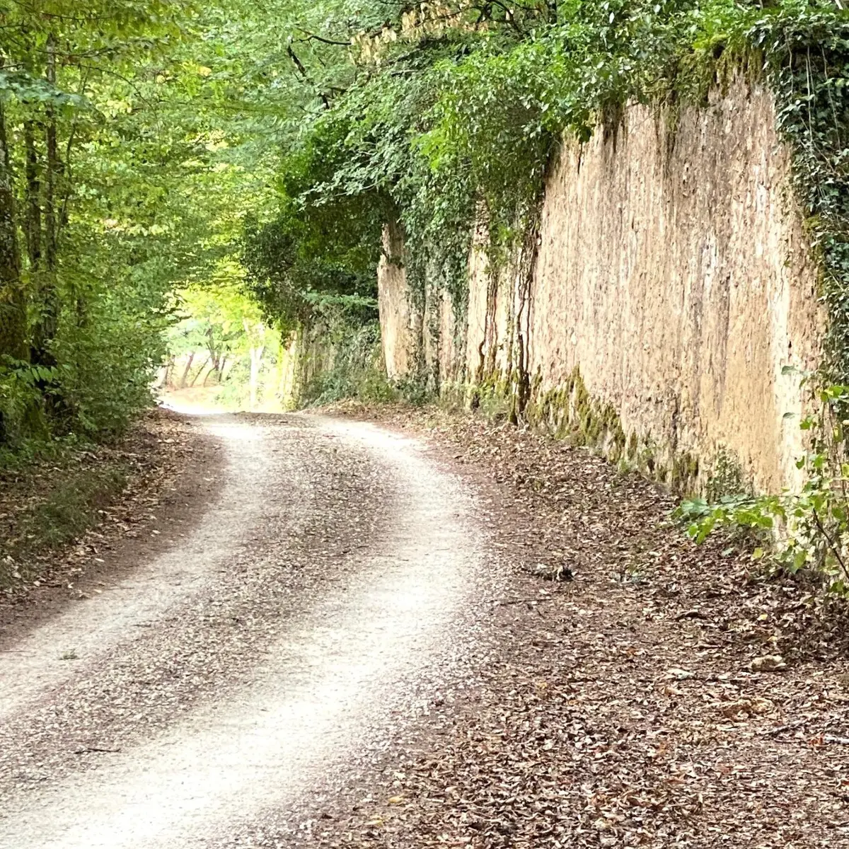 SORGES-Boucle des Murailles-Chemin