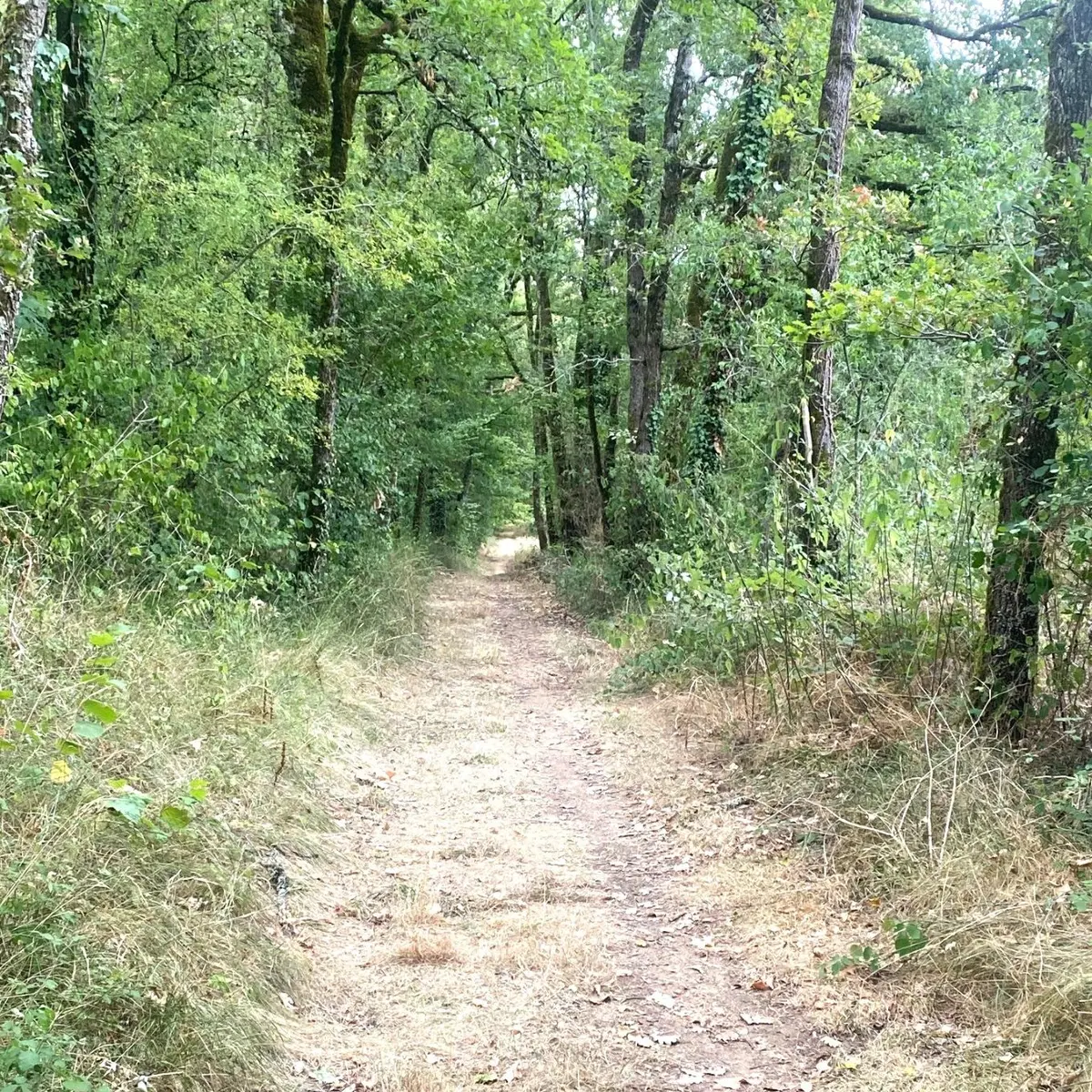 SORGES-Boucle des Puits-Chemin