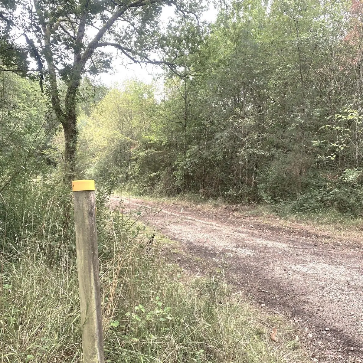 SOUDAT-Boucle de Soudat-Chemin-Poteau