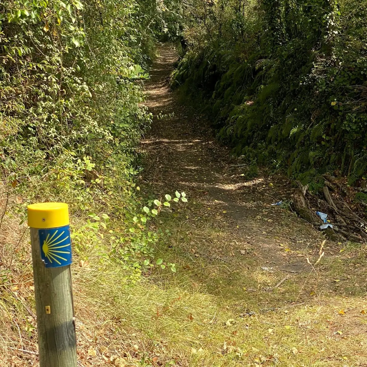 SOURZAC-Boucle de la patte de chien-Chemin-Poteau 2