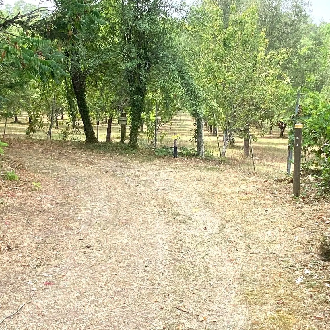 SOURZAC-Boucle de la patte de chien-Chemin-Poteau
