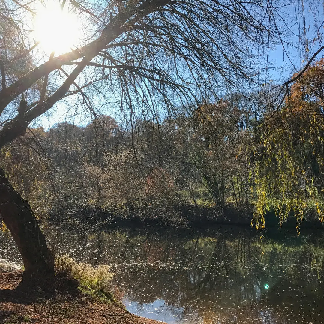 Saint Léon-bords de rivière 2